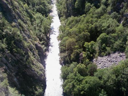 saut a l'elastique